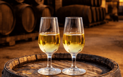 Por qué Sanlúcar de Barrameda tiene el clima perfecto para la crianza de la manzanilla