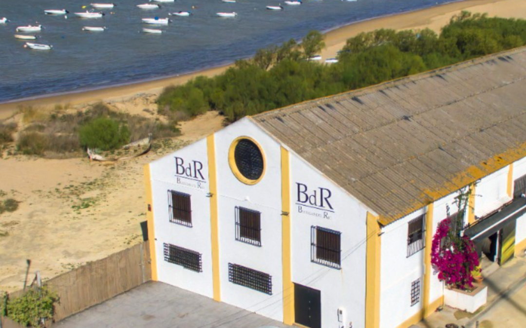 Descubre Bodegas del Río: historia, tradición y vinos de Sanlúcar de Barrameda