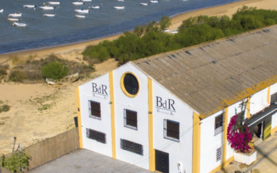 Descubre Bodegas del Río: historia, tradición y vinos de Sanlúcar de Barrameda